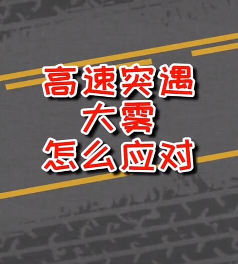 實施霧天防御性駕駛培訓